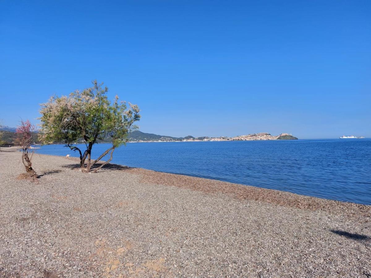 Villa Giolu Portoferraio Exteriör bild