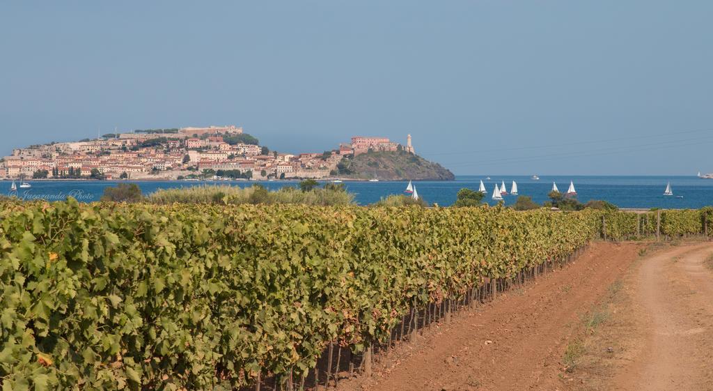 Villa Giolu Portoferraio Exteriör bild